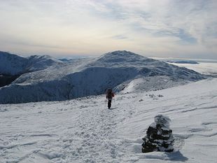 IMG 0034
