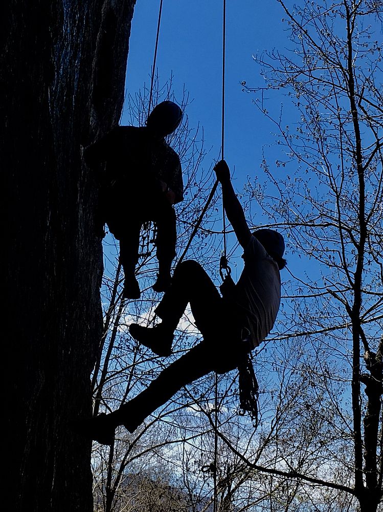 AMGA Single Pitch Instructor Course Adventure Spirit Guides